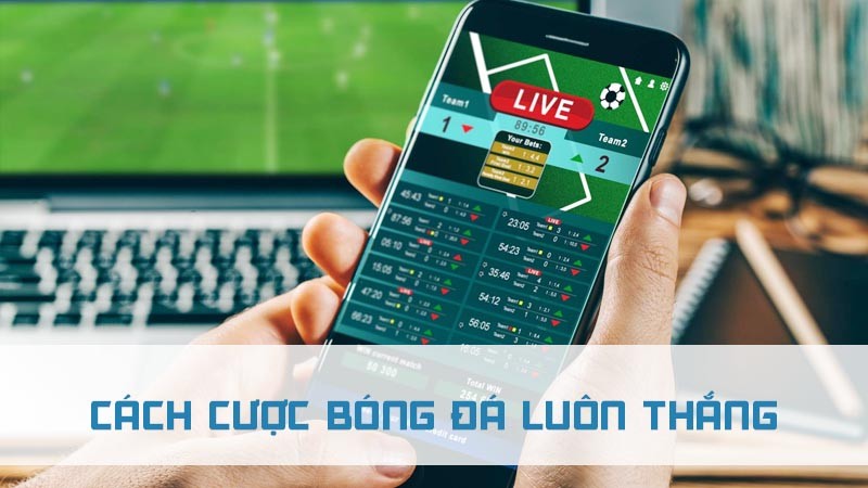 cách cược bóng đá luôn thắng mới 2024